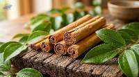 Premium Cinnamon Sticks Aromatic Spice Export