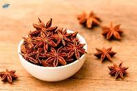 Premium Whole Star Anise Aromatic Spice Export