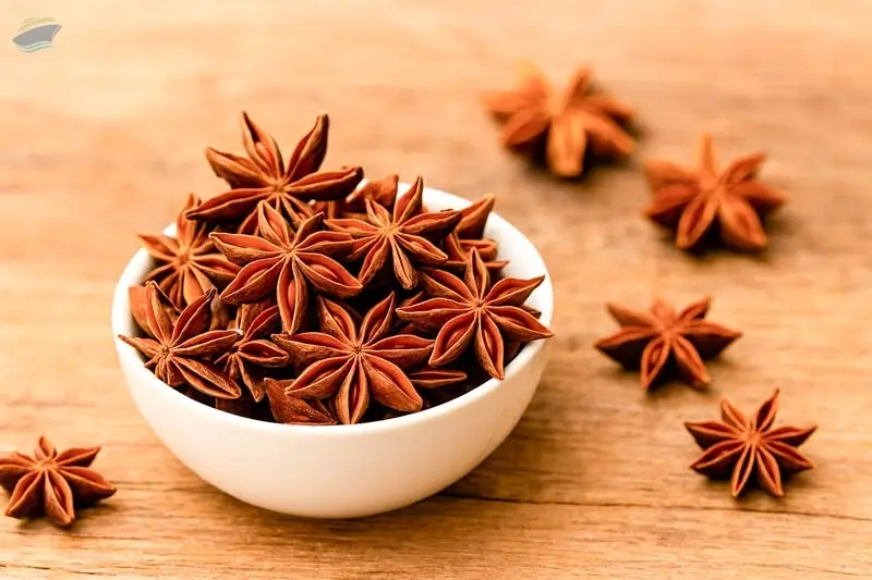 Premium Whole Star Anise Aromatic Spice Export