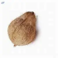 Semi Husked Coconut