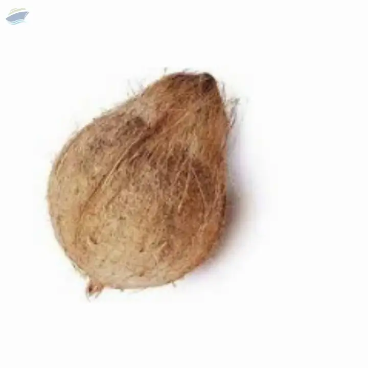 Semi Husked Coconut