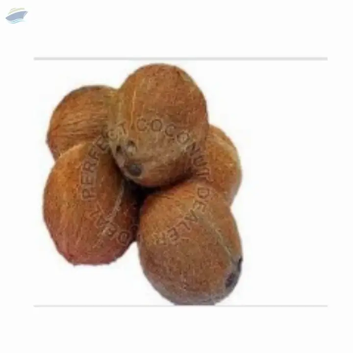 Dehusked Coconut