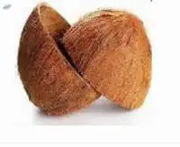 Coconut Shell