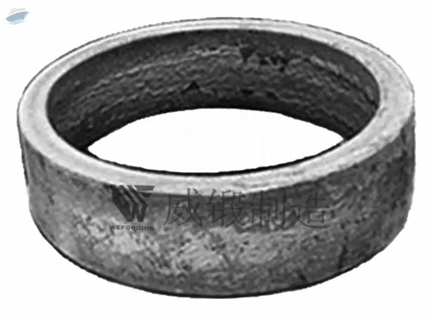 Marine Forging Ring Gear