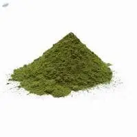 Dehydrated Kasuri Methi Powder
