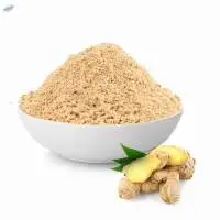 Dehydrated Ginger Powder