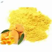 Spray Dried Mango Powder