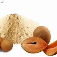 Spray Dried Sapota Powder