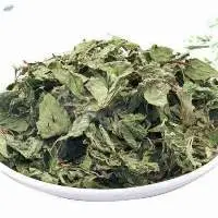 Dehydrated Mint Leaves