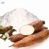 Cassava