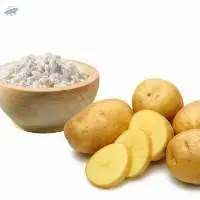 Potato