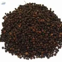 Black Pepper