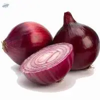 Onion