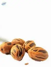 Nutmeg