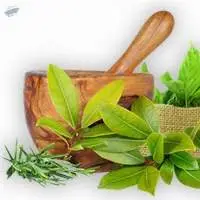 Herbs