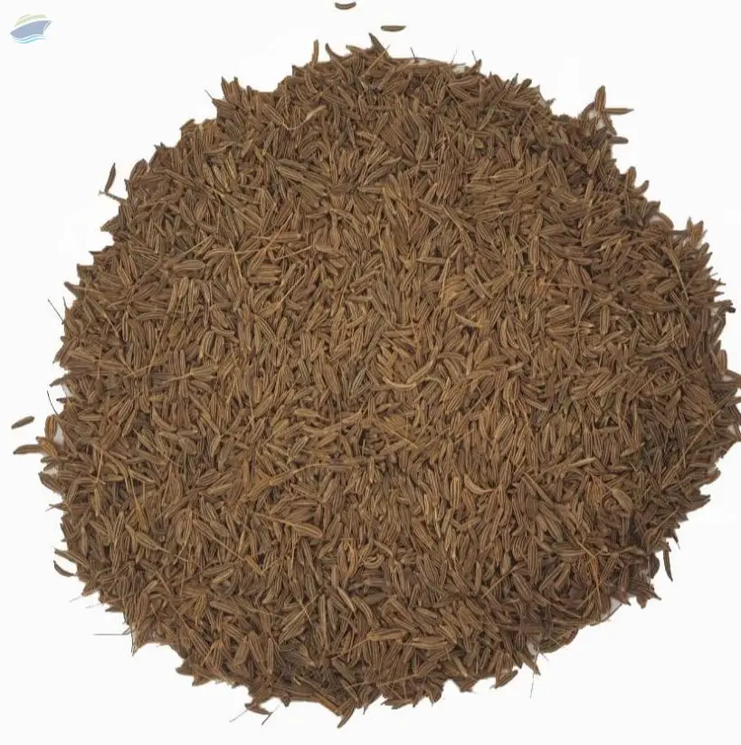Caraway Seeds