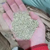 Fennel Seeds