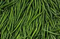 G4 Green Chilli