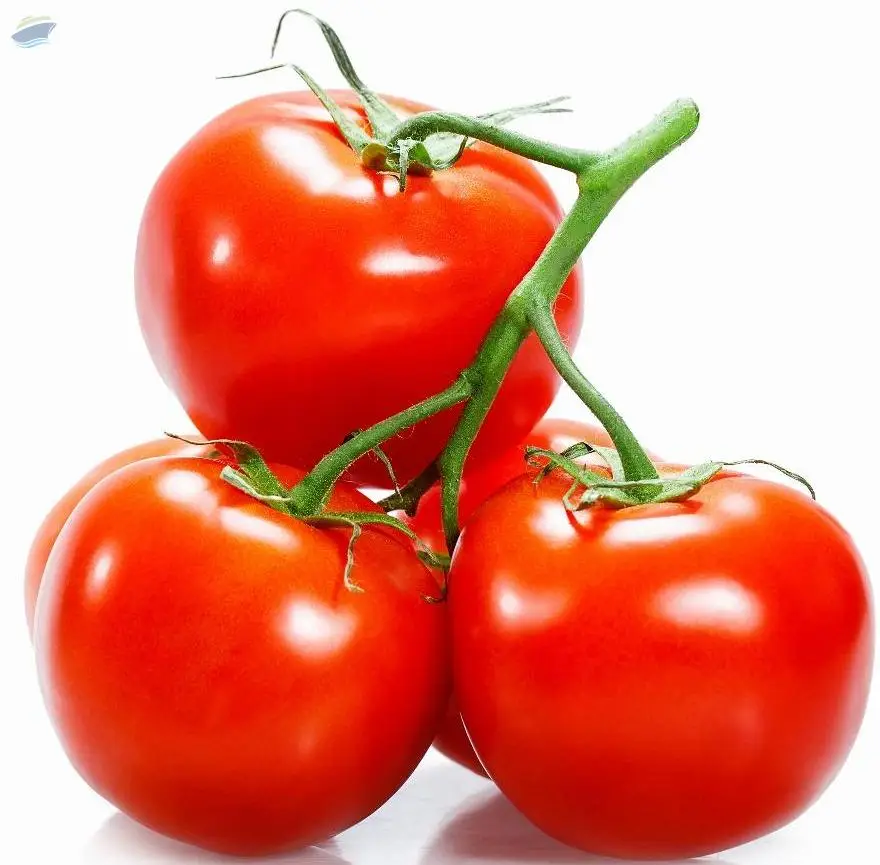 Tomatoes