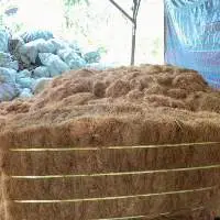 Coco Fiber Coir