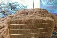 Coco Fiber
