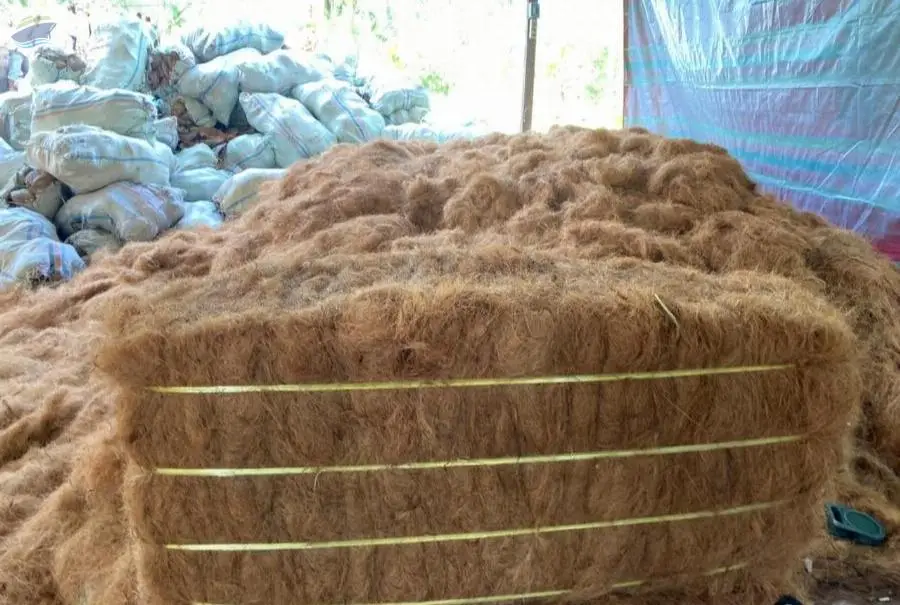 Coco Fiber