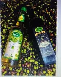 Olive Oil