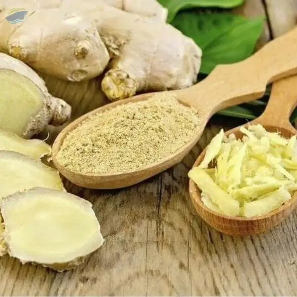 Ginger