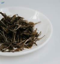 Sencha Green Tea