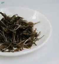 Sencha Green Tea