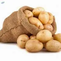 Potato