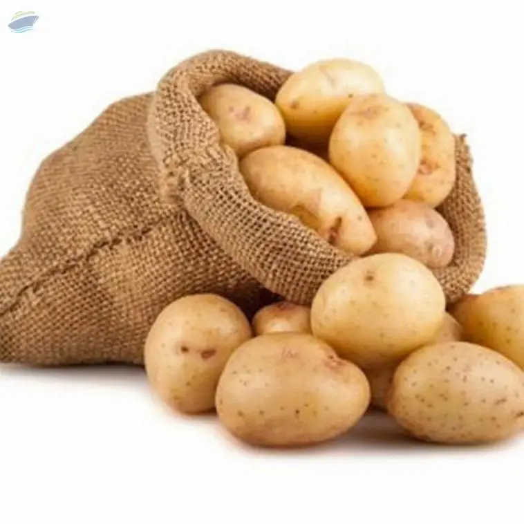 Potato