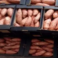 Sweet Potatoes