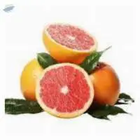 Grapefruit