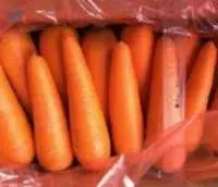 Carrot