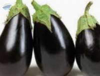 Eggplant
