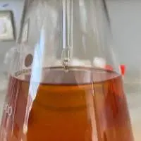 Ginger Essential Oil