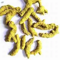 Polished Turmeric Finger