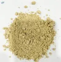 Dehydrated Ginger Powder