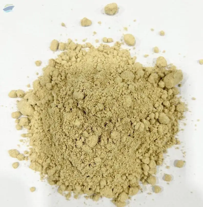 Dehydrated Ginger Powder
