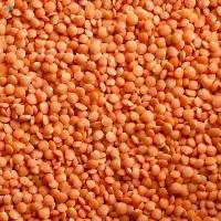 Red Lentils