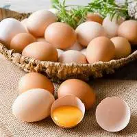 Fresh Eggs