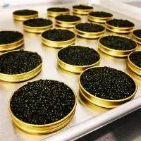 Premium Russian Caviar