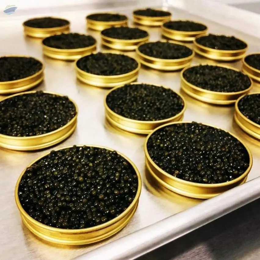 Premium Russian Caviar