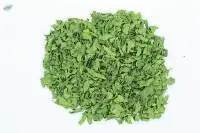 Dehydrated Spinach Leaves