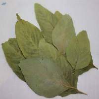 Dehydrated Amarnath Leaves
