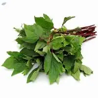 Dehydrated Sorrel Leaves
