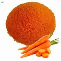 Dehydrated Carrot Powder