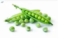 Green Peas