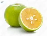 Sweet Lemon (Mosambi)